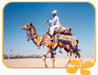 Camel  Ride